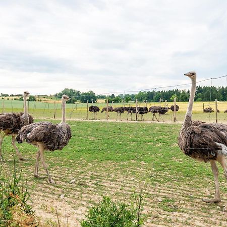 Beutenmuehle Straussenfarm Dach Owingen ภายนอก รูปภาพ