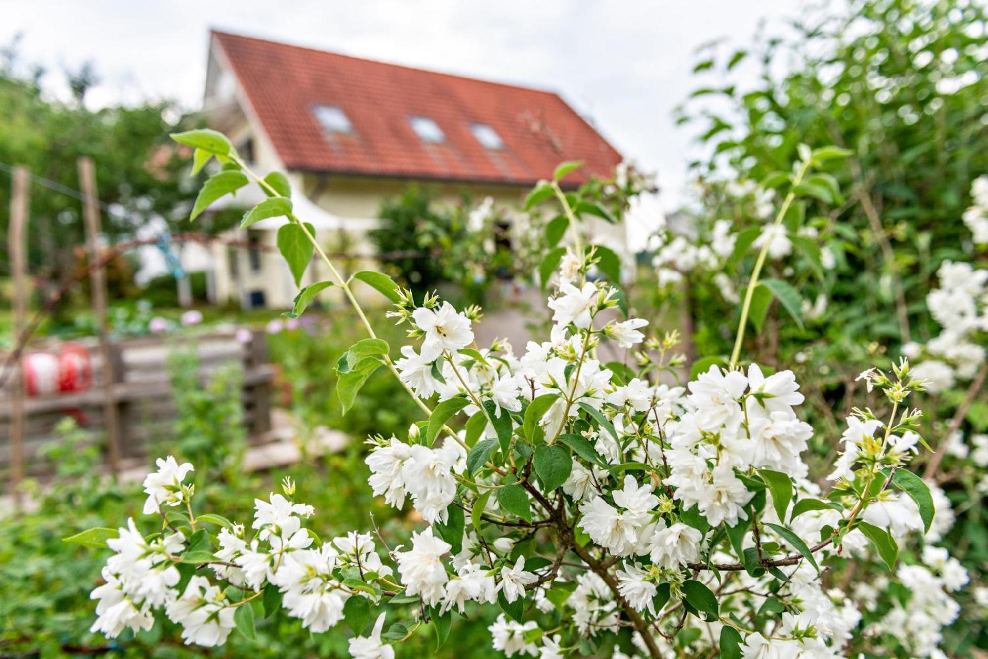 Beutenmuehle Straussenfarm Dach Owingen ภายนอก รูปภาพ
