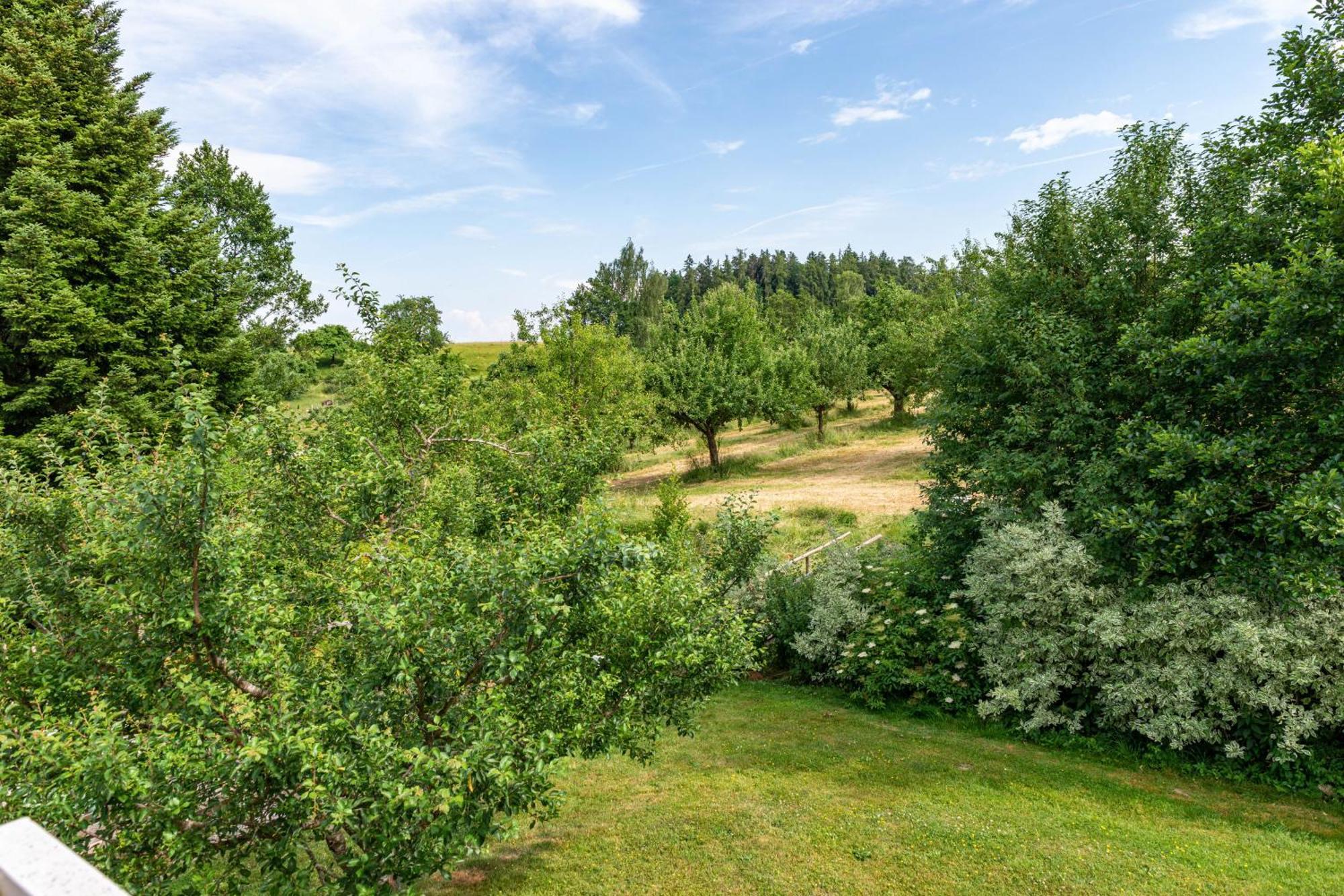 Beutenmuehle Straussenfarm Dach Owingen ภายนอก รูปภาพ